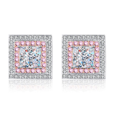 StarGems® Princess Cut 1.2cttw Moissanite 925 Silver Platinum Plated Stud Earrings EX008